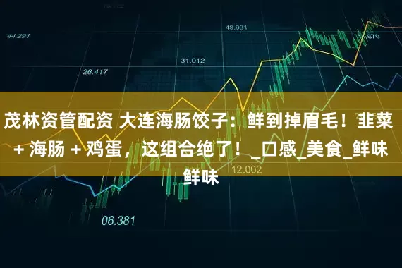 茂林资管配资 大连海肠饺子：鲜到掉眉毛！韭菜 + 海肠 + 鸡蛋，这组合绝了！_口感_美食_鲜味