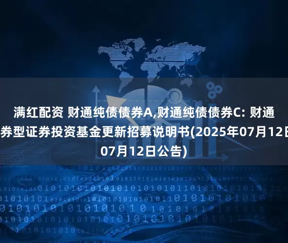 满红配资 财通纯债债券A,财通纯债债券C: 财通纯债债券型证券投资基金更新招募说明书(2025年07月12日公告)