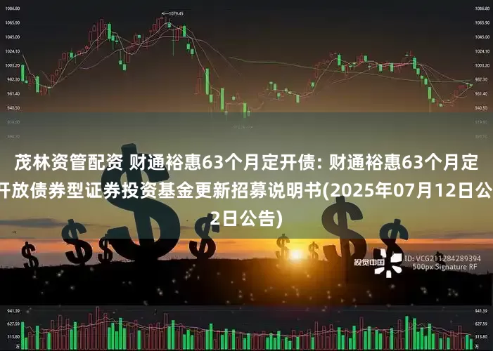 茂林资管配资 财通裕惠63个月定开债: 财通裕惠63个月定期开放债券型证券投资基金更新招募说明书(2025年07月12日公告)