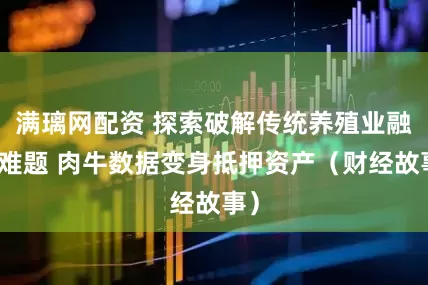 满璃网配资 探索破解传统养殖业融资难题 肉牛数据变身抵押资产（财经故事）
