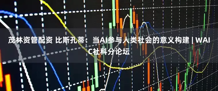 茂林资管配资 比斯孔蒂：当AI参与人类社会的意义构建 | WAIC社科分论坛