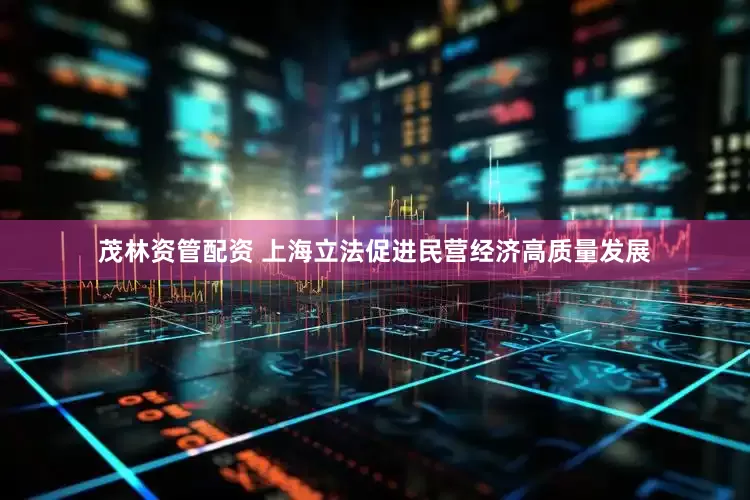 茂林资管配资 上海立法促进民营经济高质量发展