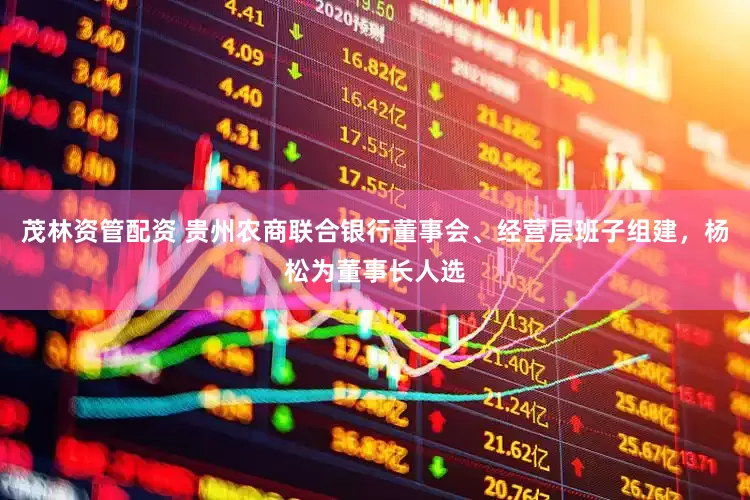 茂林资管配资 贵州农商联合银行董事会、经营层班子组建，杨松为董事长人选