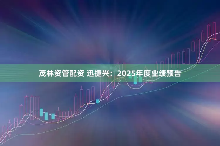 茂林资管配资 迅捷兴：2025年度业绩预告